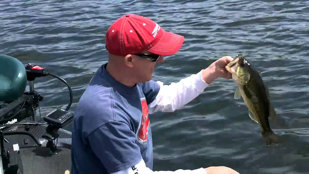 MN Bass Fishing YouTube