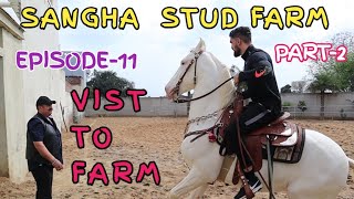 PHARAOH STALLION PART2 | SANGHA STUD FARM |  VIST TO FARM | EPISODE 11