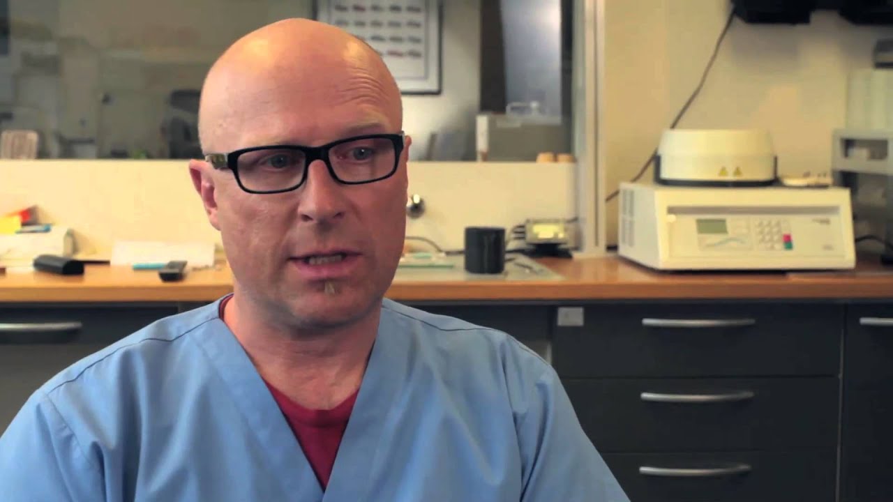 Larry Rifkin Cosmetic Dentist Dr. Laurence R. Rifkin, D.D.S. and Precision ...