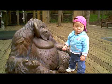 Andromeda's First Zoo Trip, Cameron Park Zoo