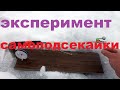 Рыбалка Форель эксперимент самоподсекайки