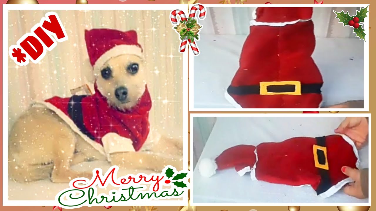 Cómo ROPA NAVIDEÑA PARA MASCOTAS/*DIY/traje santa para perritos/Manualidades Navideñas YouTube