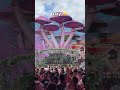 What do you prefer? Day or night?! Tomorrowland weekend 2 is here!