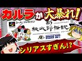 【RPG総集編】王道(夜叉姫)パーティーで攻略したい! SFC新桃太郎伝説 (作業用BGM)エンディングまで一気見(睡眠導入)