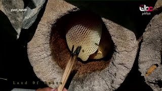 عَسل النحْل العُماني من أجود أنواع العسل في العالم