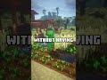 THIS PLAYER ON MY BOXSMP NEVER HAD TO EAT, HERE IS WHY! #minecraft #shorts #flamingomc