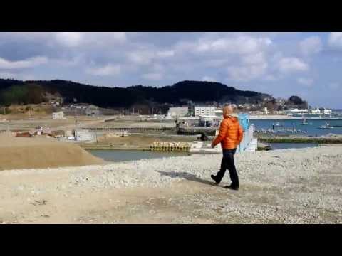 震災から3年経った南三陸町志津川地区