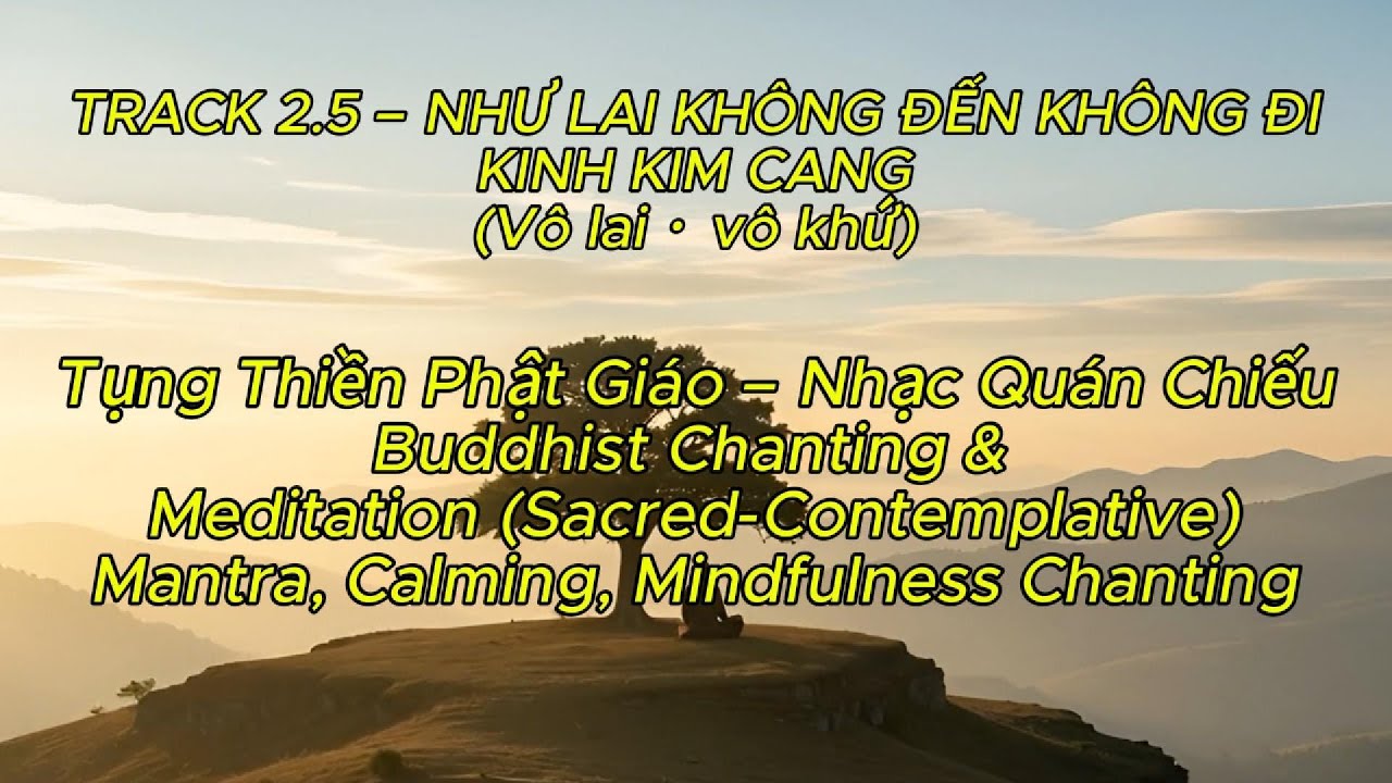 2.5 NHƯ LAI KHÔNG ĐẾN KHÔNG ĐI KINH KIM CANG CHANTING CALMING MINDFULNESS Tụng Thiền Nhạc Quán Chiếu