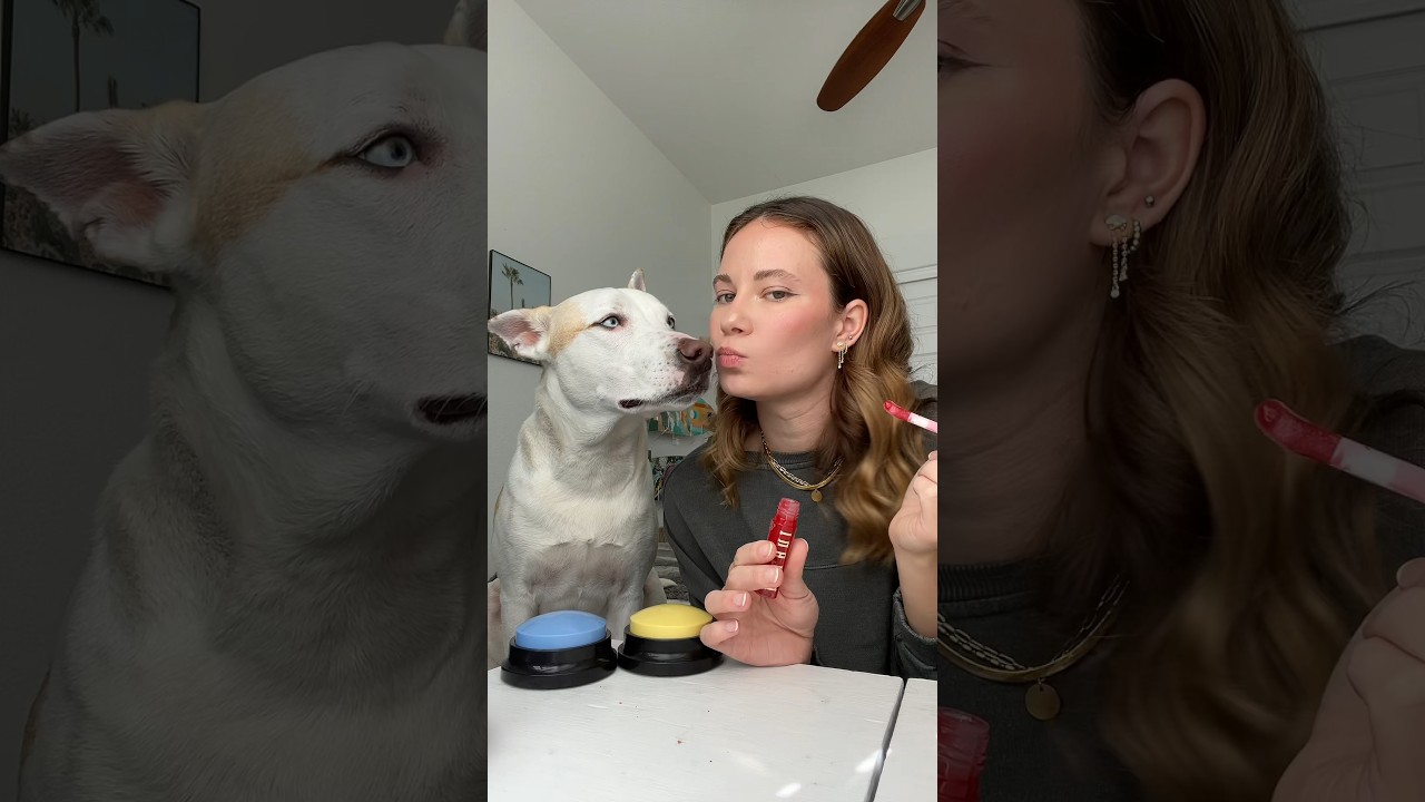 My dog loves the Milani Lip Oils😋 