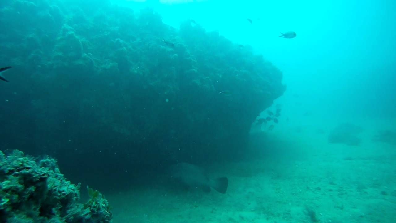 Глубоководный выпускной канализационный коллектор что это 91 фото