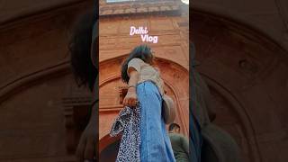 A day wrapped in Delhi’s chaos &amp; charm 💫      #travel #fun #love #relatable #dailyvlog dailyvlog