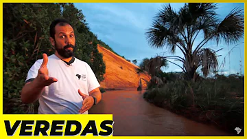 Onde se localizam as veredas?