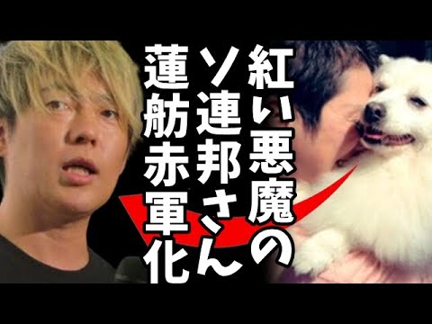 【都知事選】村本大輔が期日前投票を明かす!小池知事に卒業の喜びを教えたいと発言、一方、蓮舫が犬を抱きしめ既に敗北宣言?NHK選挙班の票読み会議