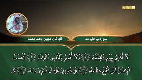 تلاوة مريحة لشيخ /رعد الكردي/ سورة القيامة