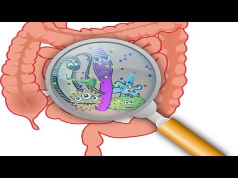 Video: Minskat Tarmmikrobiom Skyddar Från Alkoholinducerad Neuroinflammation Och Förändrar Inflammatoriskt Uttryck I Tarmen Och Hjärnan