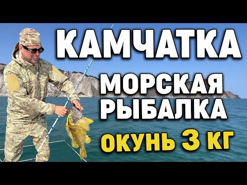 Video: Voitko käydä kamchatkassa?