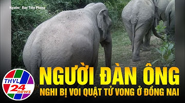 Người đàn ông nghi bị voi quật tử vong ở Đồng Nai