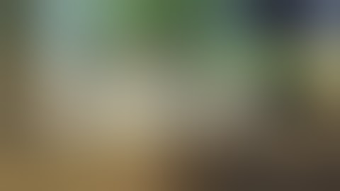 Sniper Elite 3: Developer Q&A Part 1