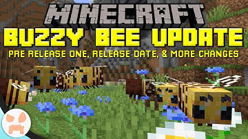 BEE UPDATE RELEASE DATE & More Changes! | Minecraft 1.15 Pre Release One
