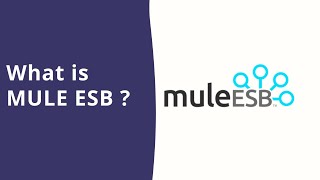 What is MULE ESB ? | MULE SOFT | ESB | MULE screenshot 1