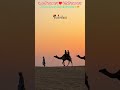 👉आपणो राजस्थान ♥️#beautifulscenery #rangilo_rajasthan #rajasthanibhasa#rajasthantour#rajasthanvisit