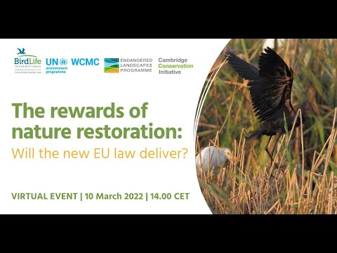 The rewards of nature restoration: Will the new EU law deliver?