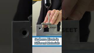 Seahorse Rivets in Different Materials