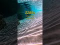 Instant mood shift, Instant healing, The Love Frequency hits different #solfeggio #soundhealing #222