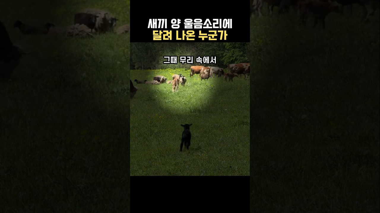 버선발로 달려오는 존재
