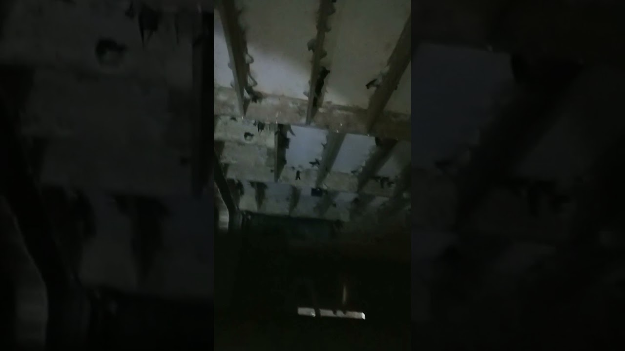 INAP DATU WALET BOMBANA //LiNk ada di kolom diskripsi