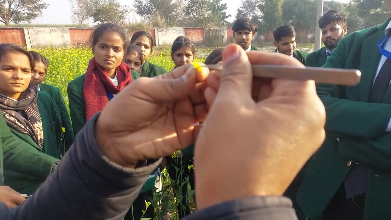 The Fine Art of Emasculation: Micro-Surgery on Mustard Flowers || 