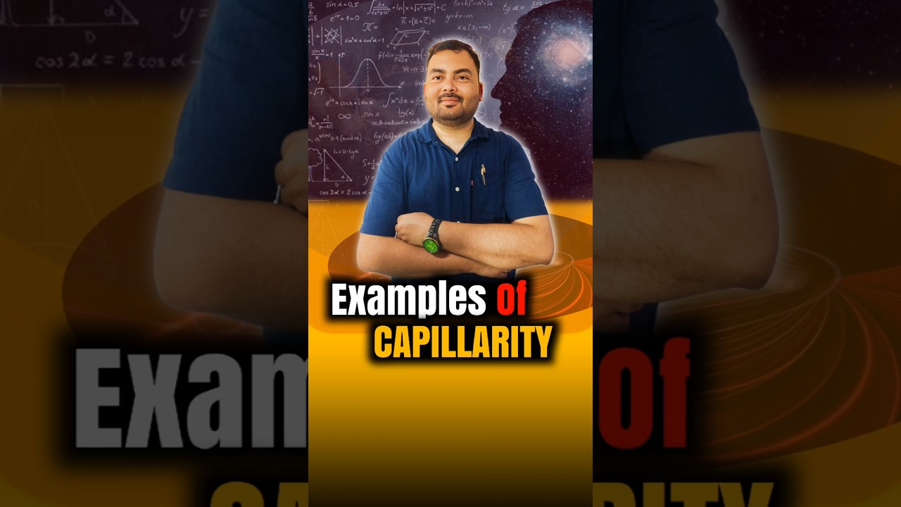 ✨ Magical Capillary Action: Everyday Examples! 🌱💧 