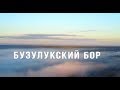 Бузулукский бор. Велопокатушка из Уральска.