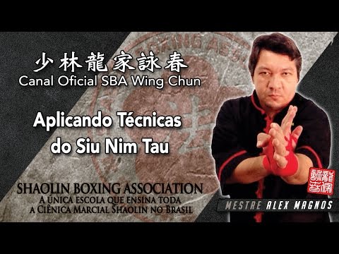 Video Aplicando Técnicas de Siu Nim Tau | SBA Wing Chun - youtube
