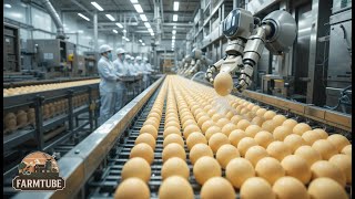 Experts REVEAL Automatic Egg Harvesting Secrets in Taiwan