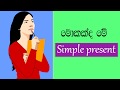 simple present English grammar in sinhala | Simple English