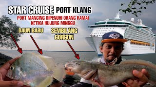 Rezeki Tak Di Jangka !!! Memancing Ikan Sembilang Gorgon Sebelum Badai Melanda | Port Star Cruise