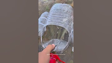 Use Scrap Plastic Bottles To Make A Simple Container For Holding Fish After Catching !