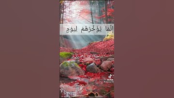 أجمل تلاوة خاشعه تريح القلب 🌟