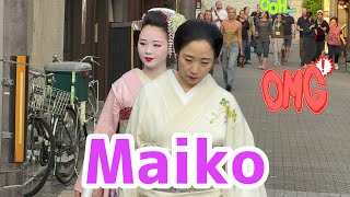 初めて見る舞妓さんに外国人観光客もビックリ‼Maiko KyotoJapan