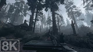 Hill 493, Hürtgen Hill｜745th Tank Battalion / 1st Platoon｜Call of Duty WW2 - 8K