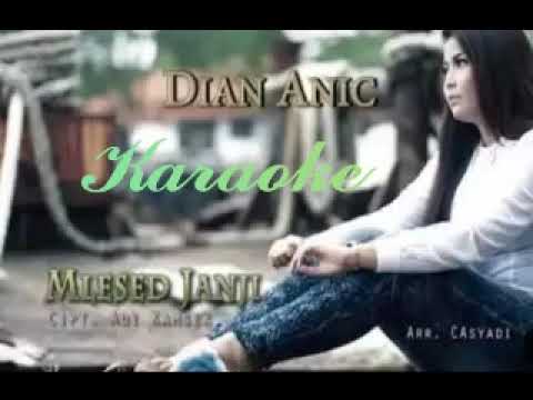 MLESED JANJI KARAOKE DIAN ANIC