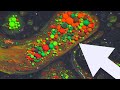 Ink In Motion - Video So Satisfying It Made Me Breathe Manually