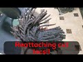 How to Reattach Cut Off Locs | Cut off 1 yr ago