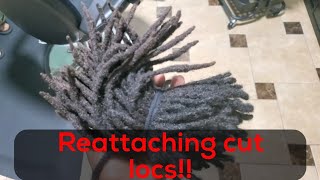 How to Reattach Cut Off Locs | Cut off 1 yr ago