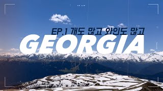 EP1. 개도 많고 와인도 많은 조지아 여행기🇬🇪