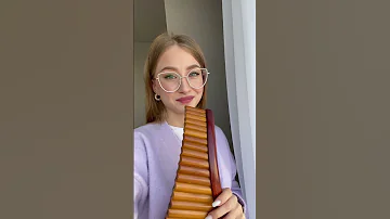 what is hard to play on Panflute #panflute #flute #musician #shorts #panpipe