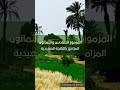 مزمور ٨٦ كلمات بالموسيقى اللهجة الصعيدية