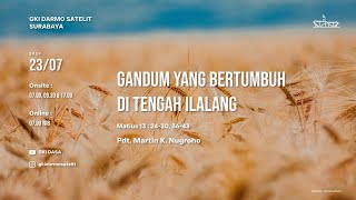 Gandum Yang Bertumbuh di Tengah Ilalang - Matius 13:24-30, 36-43