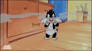 Baby Lonney Tunes No Sábado Animado Em 2023 Montagem